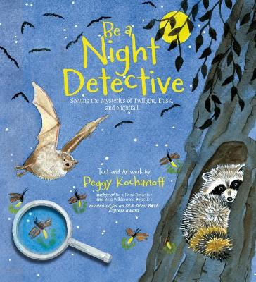 Book cover for Be a Night Detective