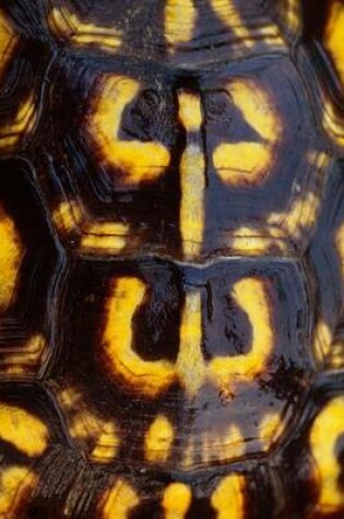 Cover of Eastern Box Turtle Shell Journal