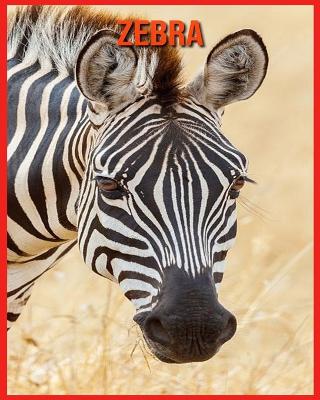 Book cover for Zebra