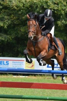 Book cover for Horse and Rider Jumping a Fence Journal