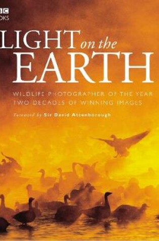 Cover of Light On The Earth