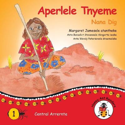 Book cover for Aperlele Tnyeme - Nana Dig