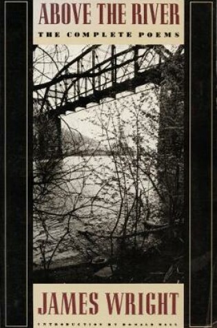 Cover of Above the River