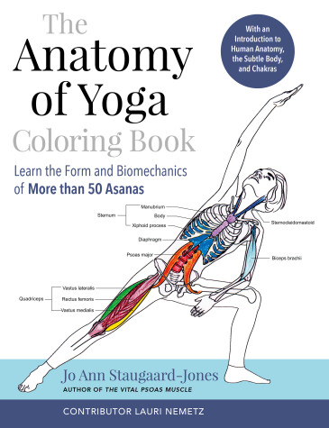 Book cover for The Anatomy of Yoga Coloring Book