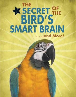 Book cover for The Secret of the Bird's Smart Brain...and More!