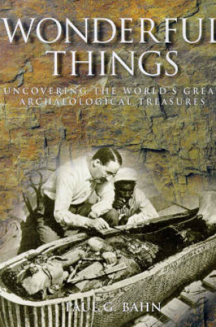 Cover of Wonderful Things