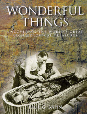 Book cover for Wonderful Things