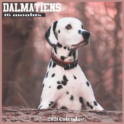 Book cover for Dalmatiens 2021 Calendar