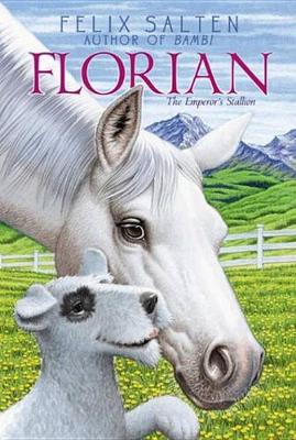 Book cover for Florian