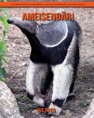 Book cover for Ameisenbär! Ein pädagogisches Kinderbuch über Ameisenbär mit lustigen Fakten