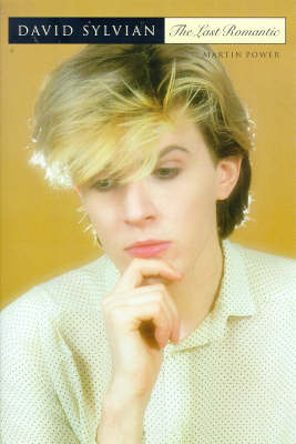 Book cover for David Sylvian