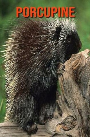 Cover of Porcupine