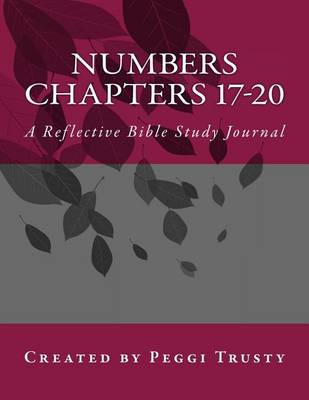 Book cover for Numbers, Chapters 17-20