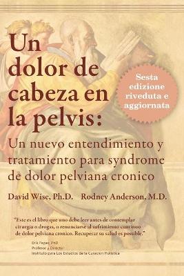 Book cover for Un Dolor de Cabeza en la Pelvis