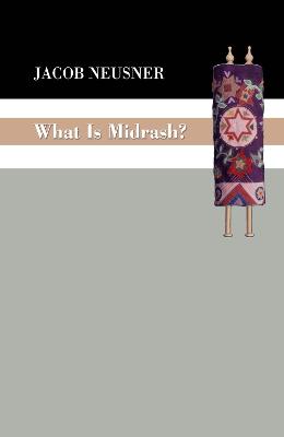 Book cover for What Is Midrash?