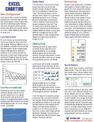 Book cover for Excel Charting Laminated Tip Card