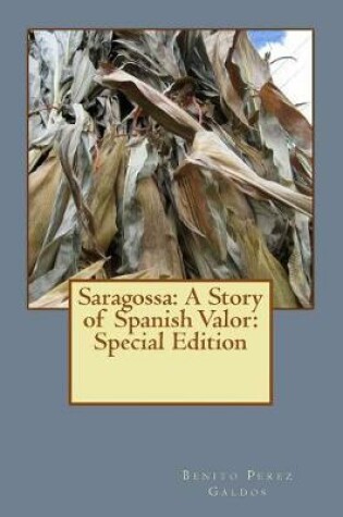 Cover of Saragossa