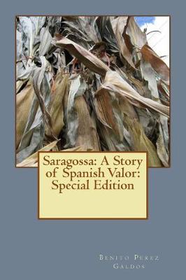 Book cover for Saragossa