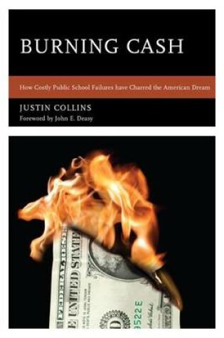 Cover of Burning Cash