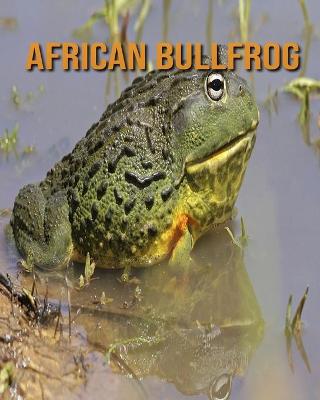 Book cover for African Bullfrog