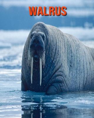 Book cover for Walrus