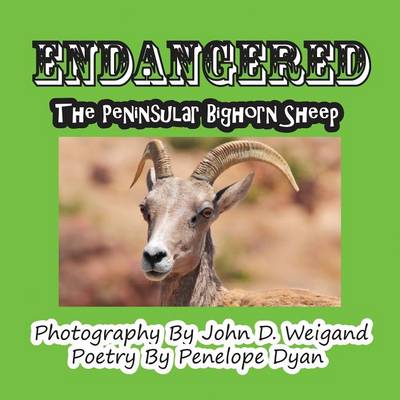Book cover for Endangered--The Peninsular Bighorn Sheep