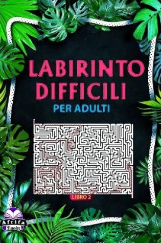 Cover of Libri labirinto difficili per adulti Libro 2