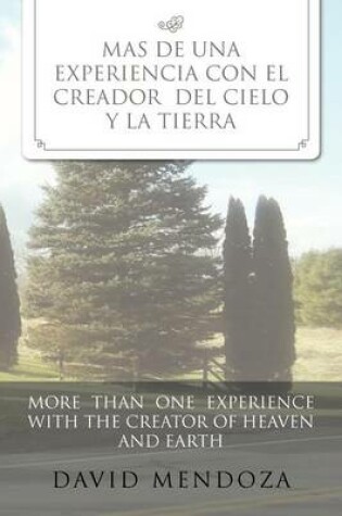 Cover of Mas de Una Experiencia Con El Creador del Cielo y La Tierra /More Than One Experience with the Creator of Heaven and Earth