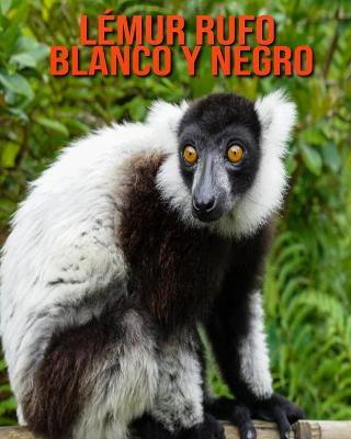 Book cover for Lémur rufo blanco y negro