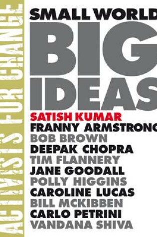 Cover of Small World Big Ideas