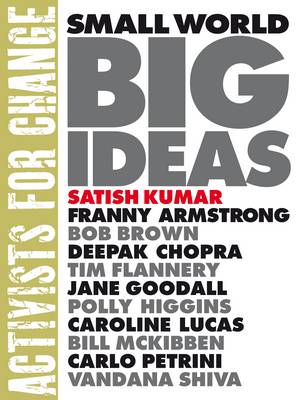 Book cover for Small World Big Ideas