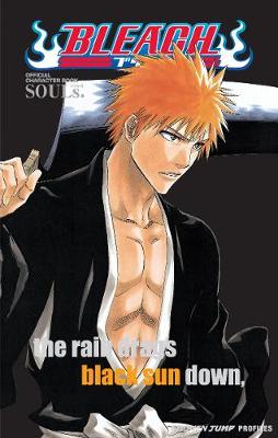Book cover for Bleach SOULs. Official Character Book