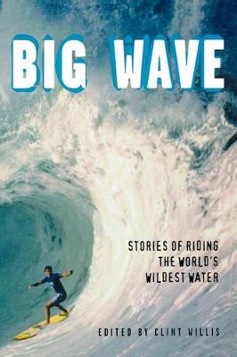 Book cover for Big Wave