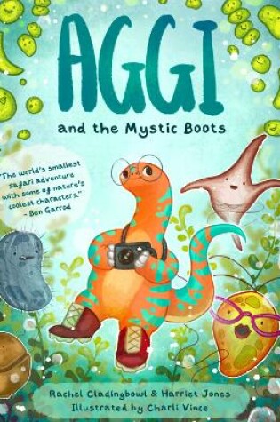 Cover of Aggi and the Mystic Boots