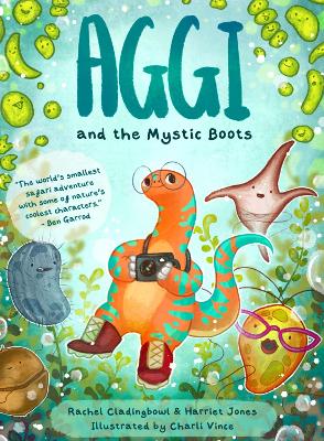 Book cover for Aggi and the Mystic Boots