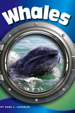 Cover of Whales