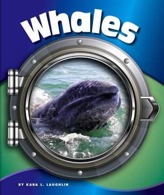 Book cover for Whales