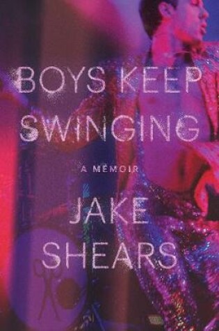 Cover of Boys Keep Swinging
