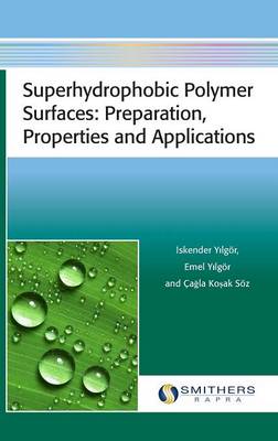 Cover of Superhydrophobic Polymer Surfaces