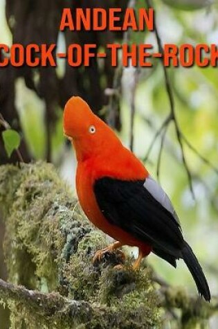 Cover of Andean Cock-of-The-Rock