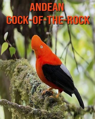 Book cover for Andean Cock-of-The-Rock