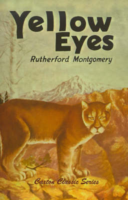 Book cover for Yellow Eyes