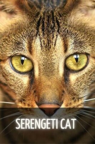 Cover of Serengeti Cat