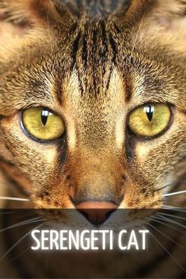 Book cover for Serengeti Cat