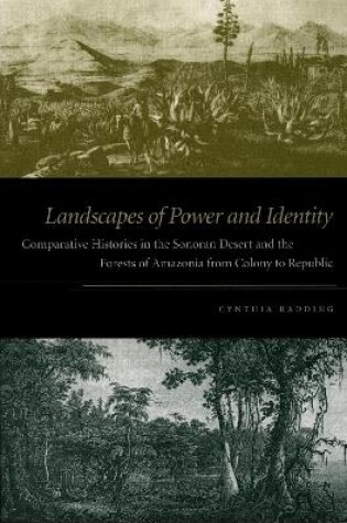 Cover of Landscapes of Power and Identity