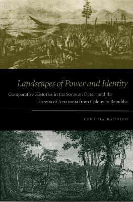 Book cover for Landscapes of Power and Identity