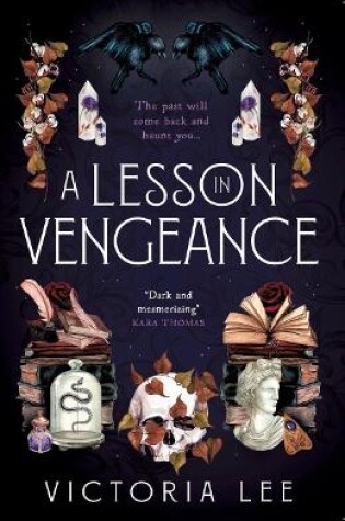 Cover of A Lesson in Vengeance