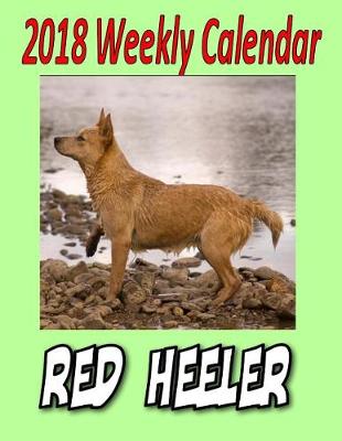 Book cover for 2018 Weekly Calendar Red Heeler