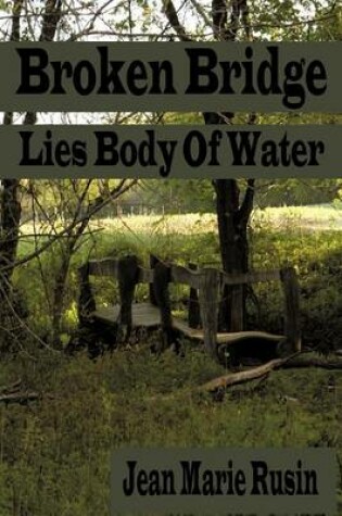 Cover of Broken Bridge Lies Body of Water.