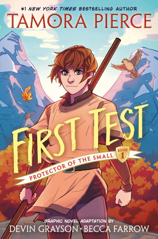 Cover of First Test Graphic Novel